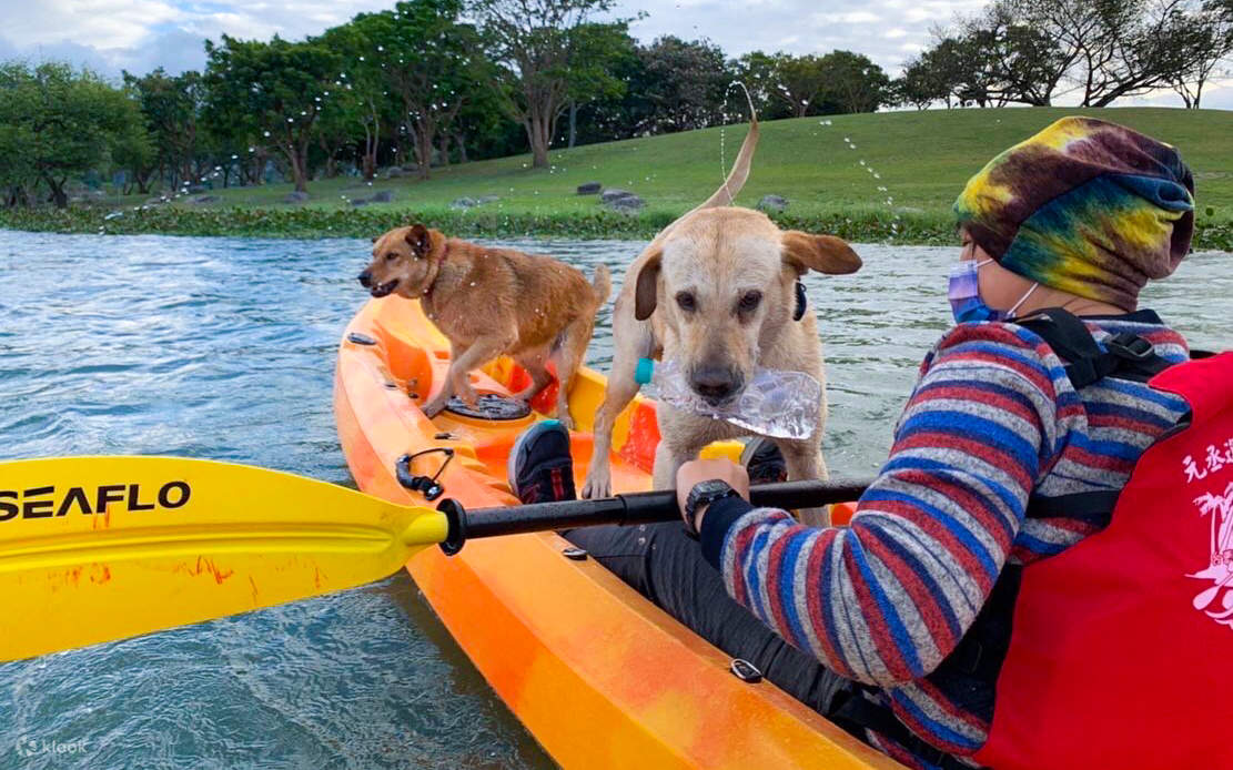 Wasserfreizeit am Dapo Pond in Chishang